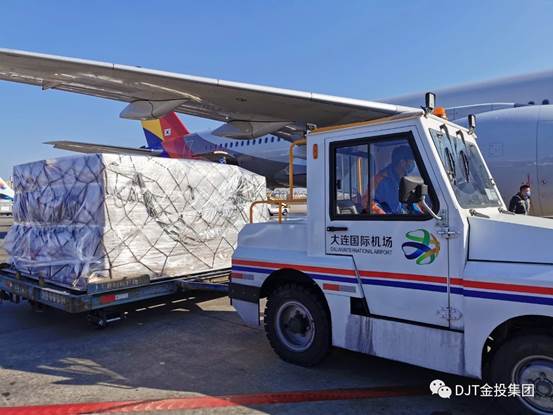 ������Ͷ����